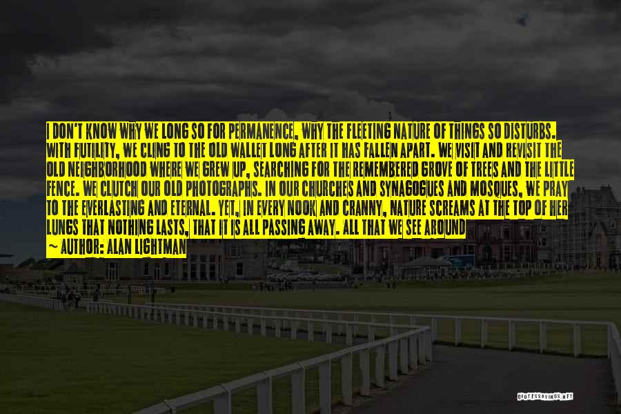 Alan Lightman Quotes: I Don't Know Why We Long So For Permanence, Why The Fleeting Nature Of Things So Disturbs. With Futility, We