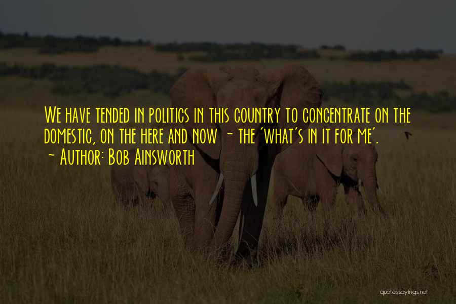 Bob Ainsworth Quotes: We Have Tended In Politics In This Country To Concentrate On The Domestic, On The Here And Now - The