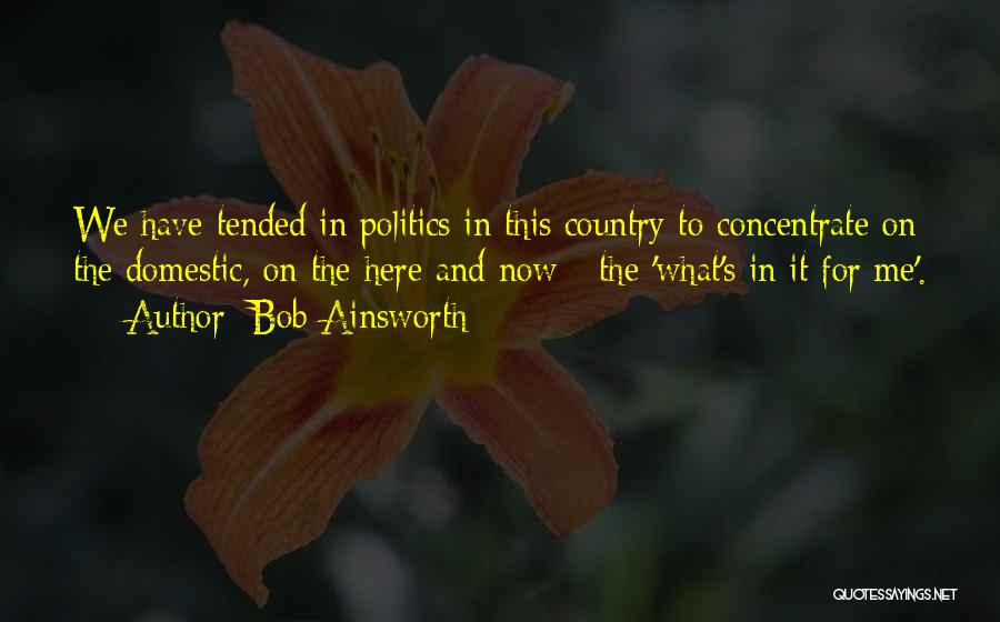 Bob Ainsworth Quotes: We Have Tended In Politics In This Country To Concentrate On The Domestic, On The Here And Now - The