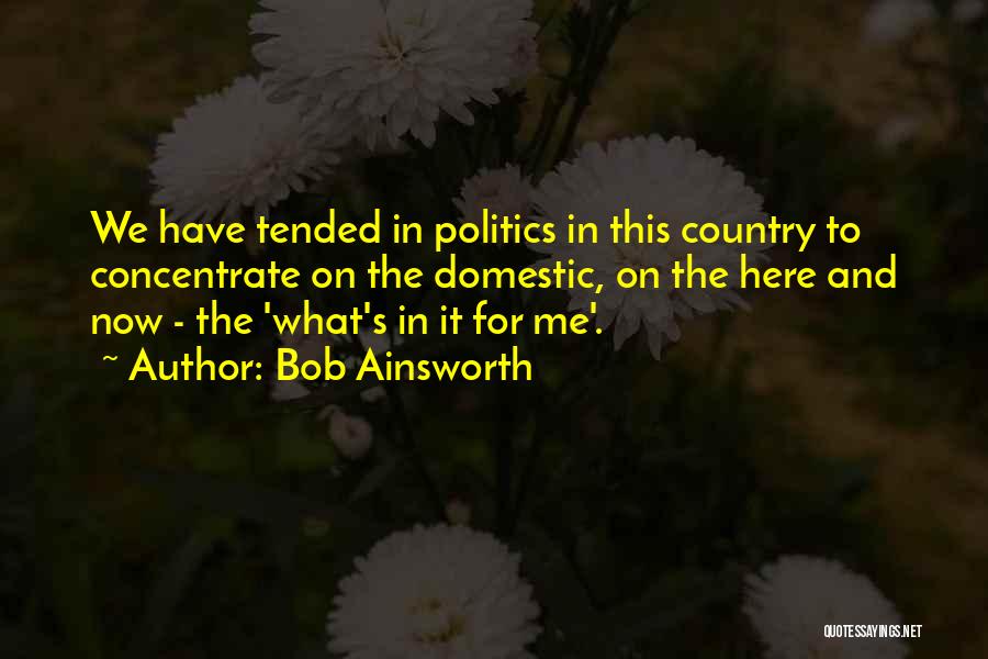 Bob Ainsworth Quotes: We Have Tended In Politics In This Country To Concentrate On The Domestic, On The Here And Now - The