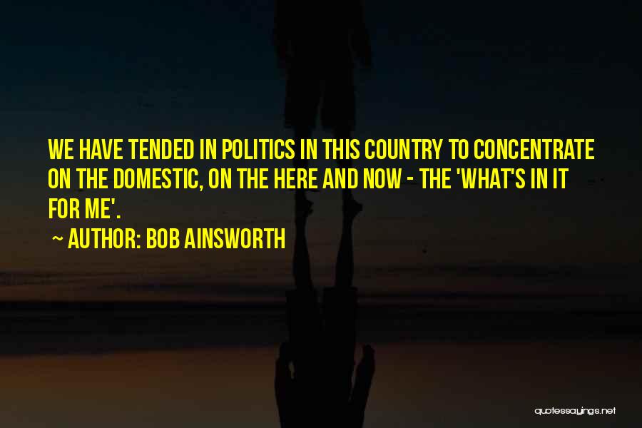 Bob Ainsworth Quotes: We Have Tended In Politics In This Country To Concentrate On The Domestic, On The Here And Now - The