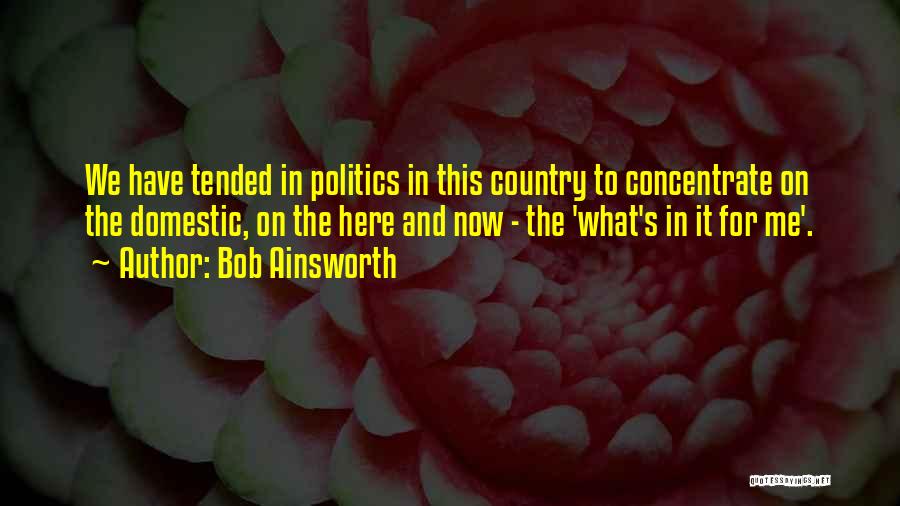 Bob Ainsworth Quotes: We Have Tended In Politics In This Country To Concentrate On The Domestic, On The Here And Now - The