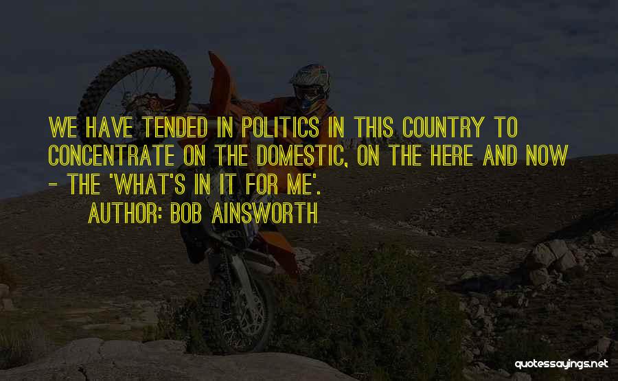 Bob Ainsworth Quotes: We Have Tended In Politics In This Country To Concentrate On The Domestic, On The Here And Now - The