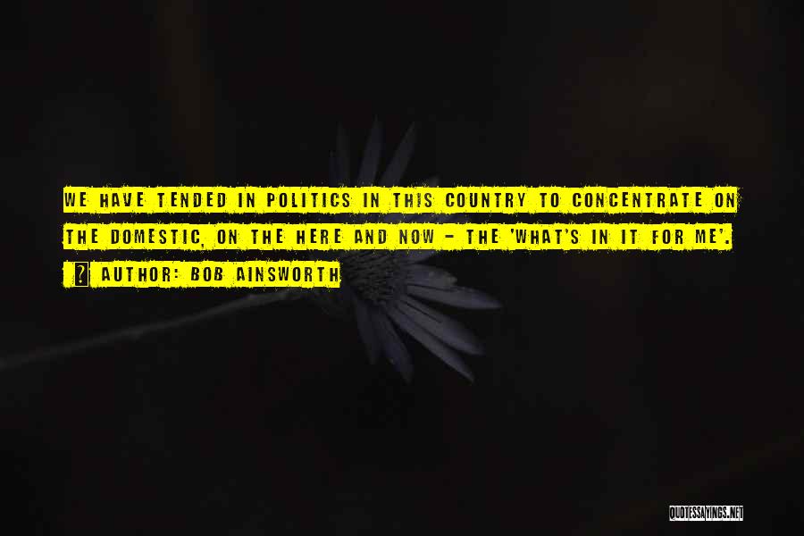 Bob Ainsworth Quotes: We Have Tended In Politics In This Country To Concentrate On The Domestic, On The Here And Now - The