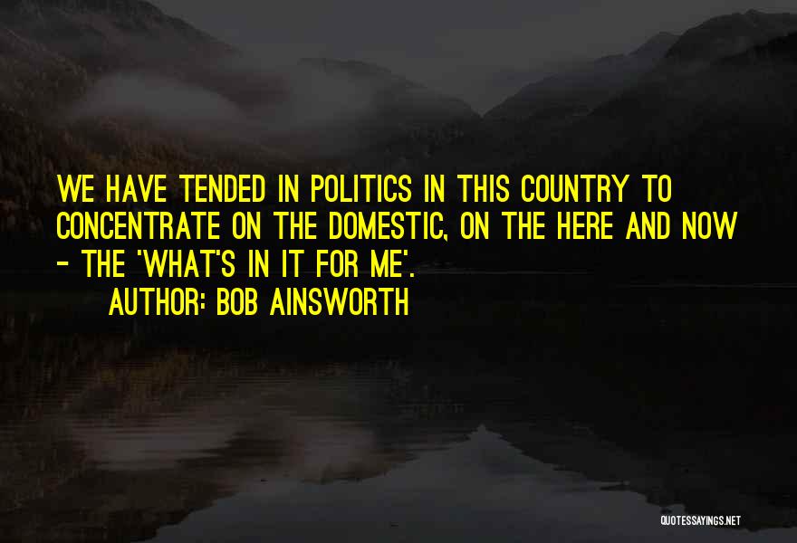 Bob Ainsworth Quotes: We Have Tended In Politics In This Country To Concentrate On The Domestic, On The Here And Now - The