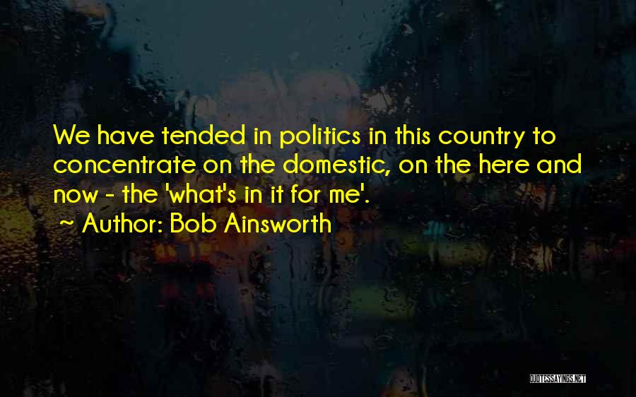 Bob Ainsworth Quotes: We Have Tended In Politics In This Country To Concentrate On The Domestic, On The Here And Now - The