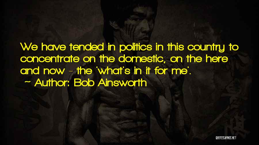 Bob Ainsworth Quotes: We Have Tended In Politics In This Country To Concentrate On The Domestic, On The Here And Now - The