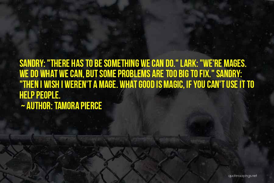Tamora Pierce Quotes: Sandry: There Has To Be Something We Can Do. Lark: We're Mages. We Do What We Can, But Some Problems