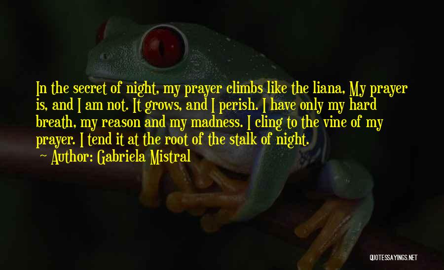 Gabriela Mistral Quotes: In The Secret Of Night, My Prayer Climbs Like The Liana, My Prayer Is, And I Am Not. It Grows,