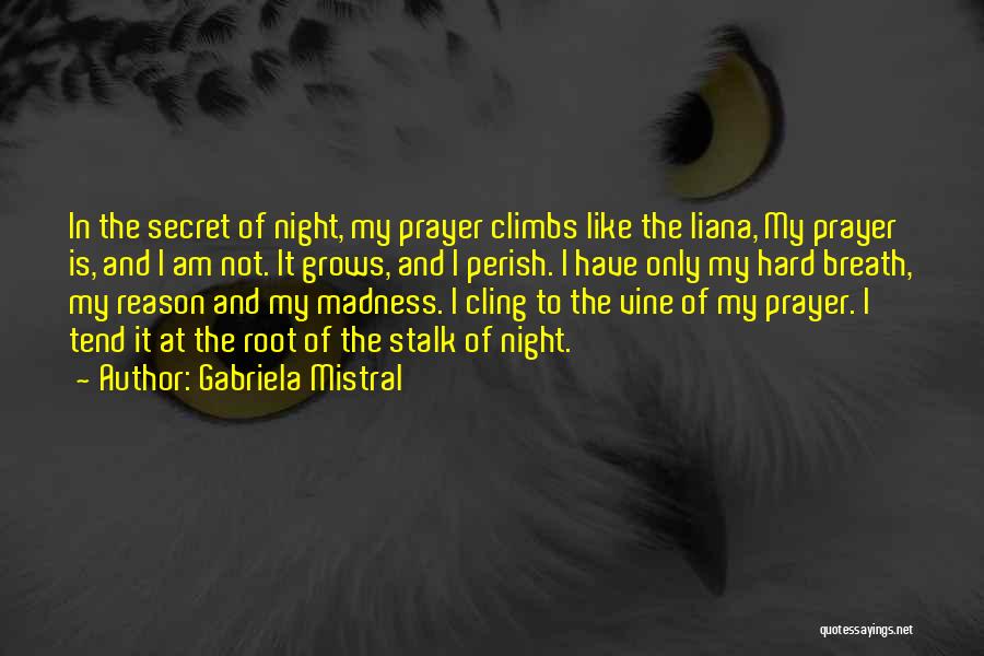 Gabriela Mistral Quotes: In The Secret Of Night, My Prayer Climbs Like The Liana, My Prayer Is, And I Am Not. It Grows,