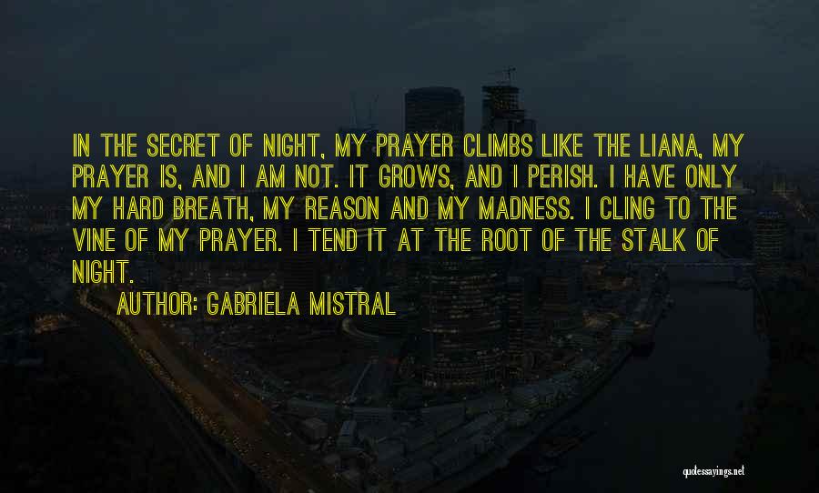 Gabriela Mistral Quotes: In The Secret Of Night, My Prayer Climbs Like The Liana, My Prayer Is, And I Am Not. It Grows,