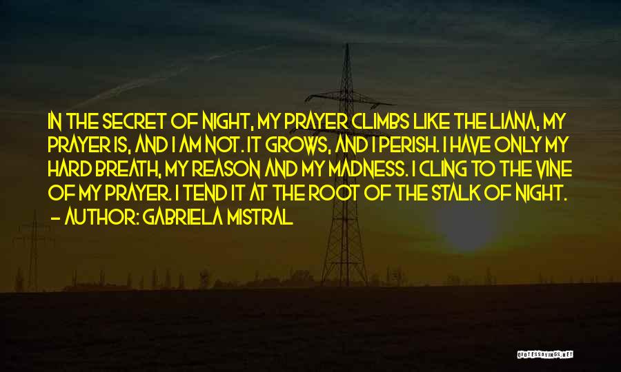 Gabriela Mistral Quotes: In The Secret Of Night, My Prayer Climbs Like The Liana, My Prayer Is, And I Am Not. It Grows,