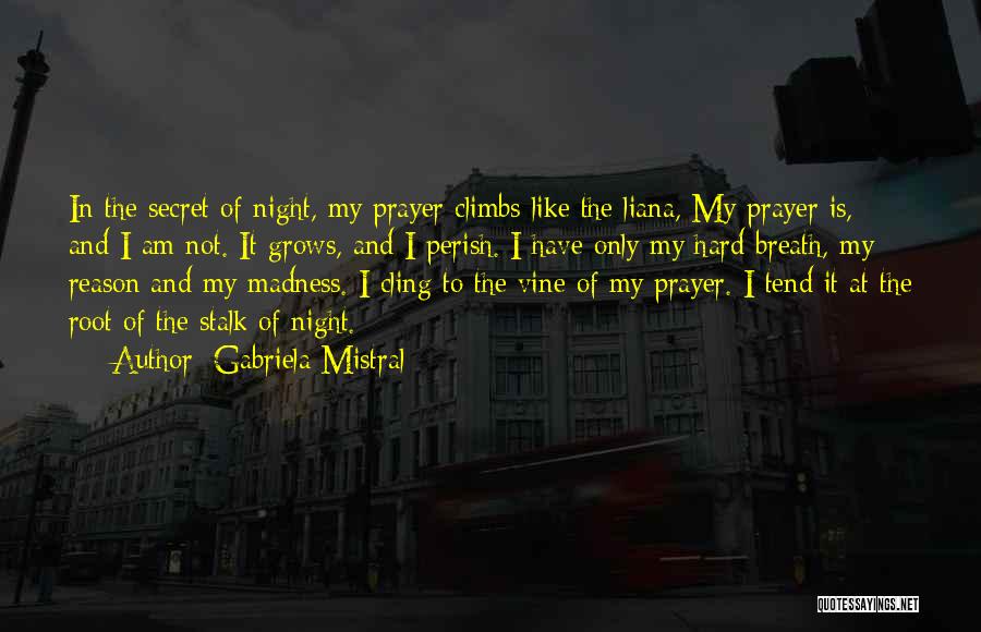 Gabriela Mistral Quotes: In The Secret Of Night, My Prayer Climbs Like The Liana, My Prayer Is, And I Am Not. It Grows,