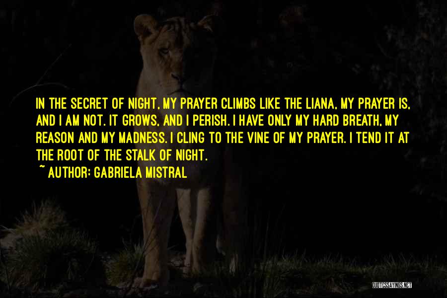 Gabriela Mistral Quotes: In The Secret Of Night, My Prayer Climbs Like The Liana, My Prayer Is, And I Am Not. It Grows,