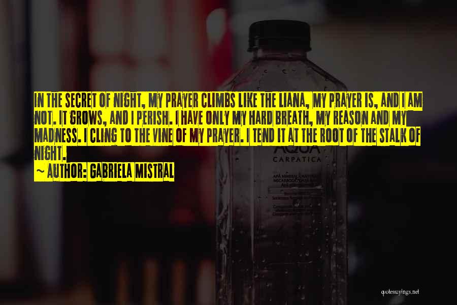 Gabriela Mistral Quotes: In The Secret Of Night, My Prayer Climbs Like The Liana, My Prayer Is, And I Am Not. It Grows,