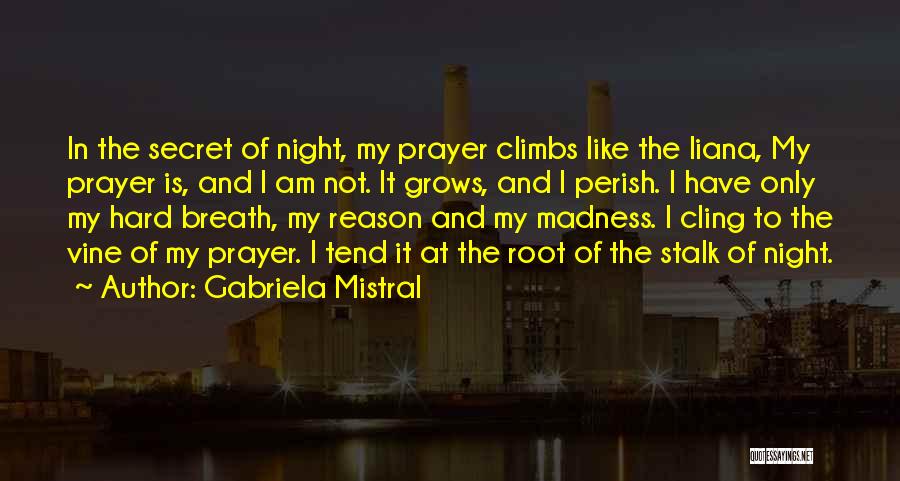 Gabriela Mistral Quotes: In The Secret Of Night, My Prayer Climbs Like The Liana, My Prayer Is, And I Am Not. It Grows,