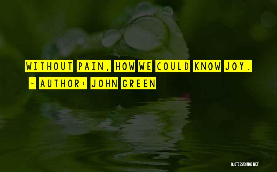 John Green Quotes: Without Pain, How We Could Know Joy.