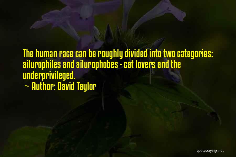 David Taylor Quotes: The Human Race Can Be Roughly Divided Into Two Categories: Ailurophiles And Ailurophobes - Cat Lovers And The Underprivileged.