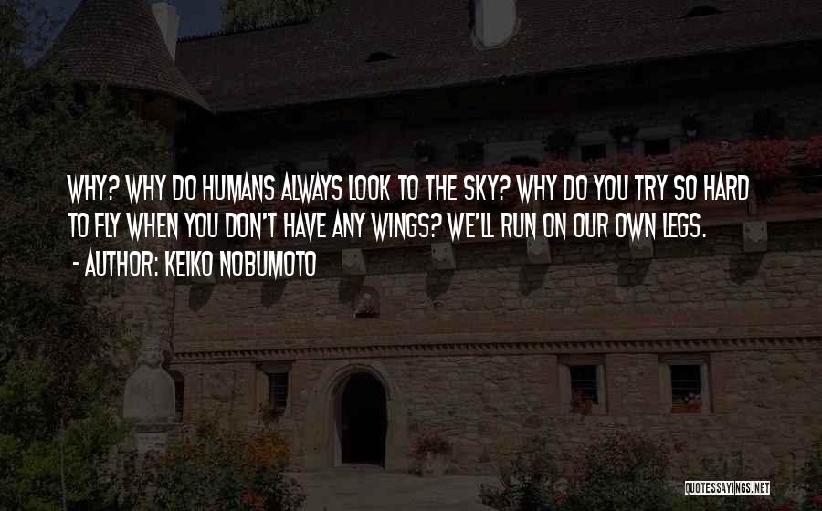 Keiko Nobumoto Quotes: Why? Why Do Humans Always Look To The Sky? Why Do You Try So Hard To Fly When You Don't