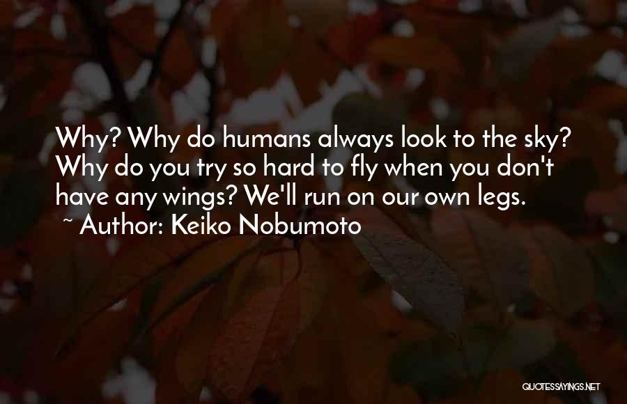 Keiko Nobumoto Quotes: Why? Why Do Humans Always Look To The Sky? Why Do You Try So Hard To Fly When You Don't