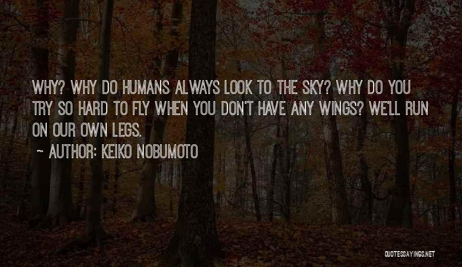 Keiko Nobumoto Quotes: Why? Why Do Humans Always Look To The Sky? Why Do You Try So Hard To Fly When You Don't