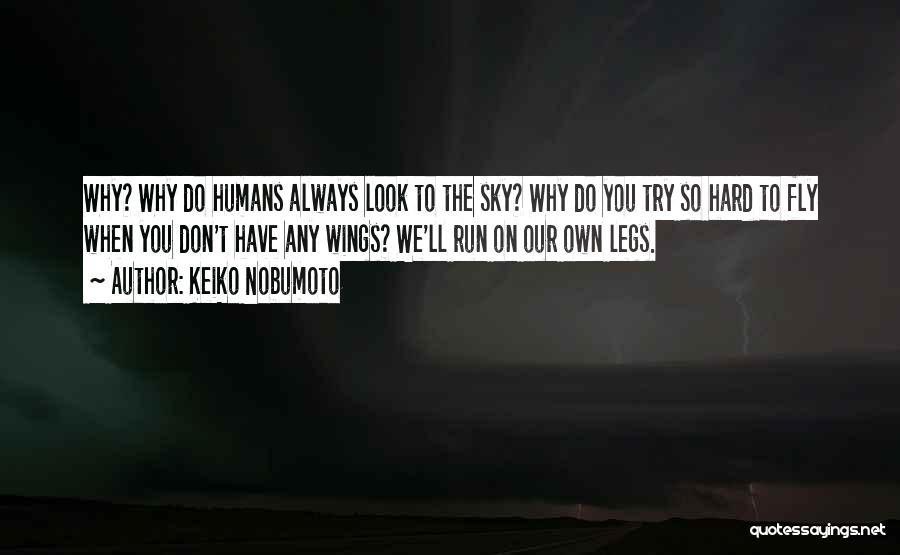 Keiko Nobumoto Quotes: Why? Why Do Humans Always Look To The Sky? Why Do You Try So Hard To Fly When You Don't