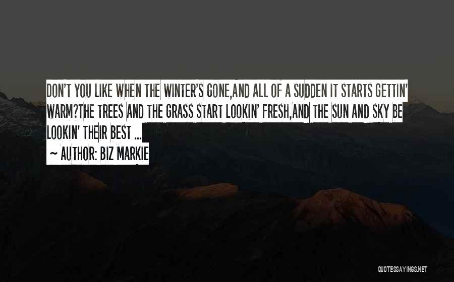 Biz Markie Quotes: Don't You Like When The Winter's Gone,and All Of A Sudden It Starts Gettin' Warm?the Trees And The Grass Start