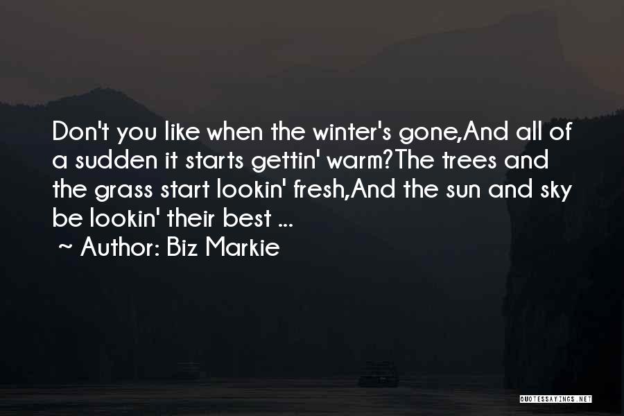 Biz Markie Quotes: Don't You Like When The Winter's Gone,and All Of A Sudden It Starts Gettin' Warm?the Trees And The Grass Start