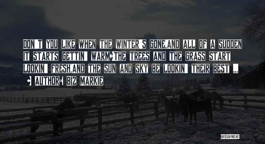 Biz Markie Quotes: Don't You Like When The Winter's Gone,and All Of A Sudden It Starts Gettin' Warm?the Trees And The Grass Start