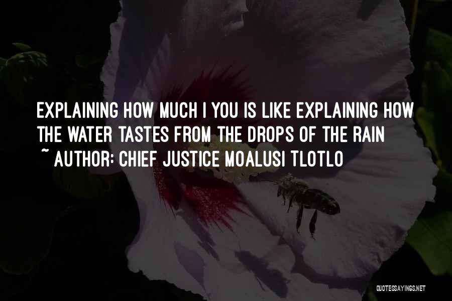 Chief Justice Moalusi Tlotlo Quotes: Explaining How Much I You Is Like Explaining How The Water Tastes From The Drops Of The Rain