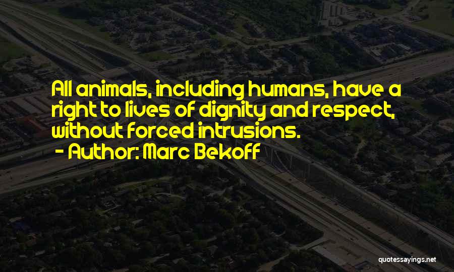 Marc Bekoff Quotes: All Animals, Including Humans, Have A Right To Lives Of Dignity And Respect, Without Forced Intrusions.