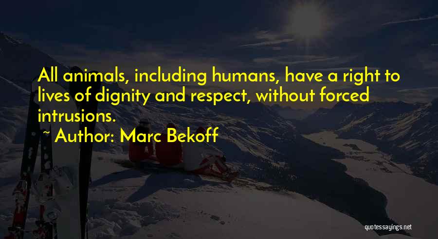 Marc Bekoff Quotes: All Animals, Including Humans, Have A Right To Lives Of Dignity And Respect, Without Forced Intrusions.