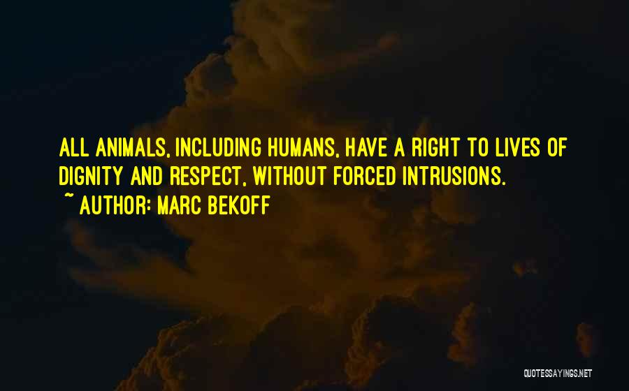 Marc Bekoff Quotes: All Animals, Including Humans, Have A Right To Lives Of Dignity And Respect, Without Forced Intrusions.