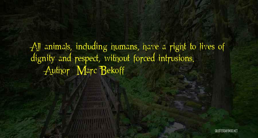 Marc Bekoff Quotes: All Animals, Including Humans, Have A Right To Lives Of Dignity And Respect, Without Forced Intrusions.