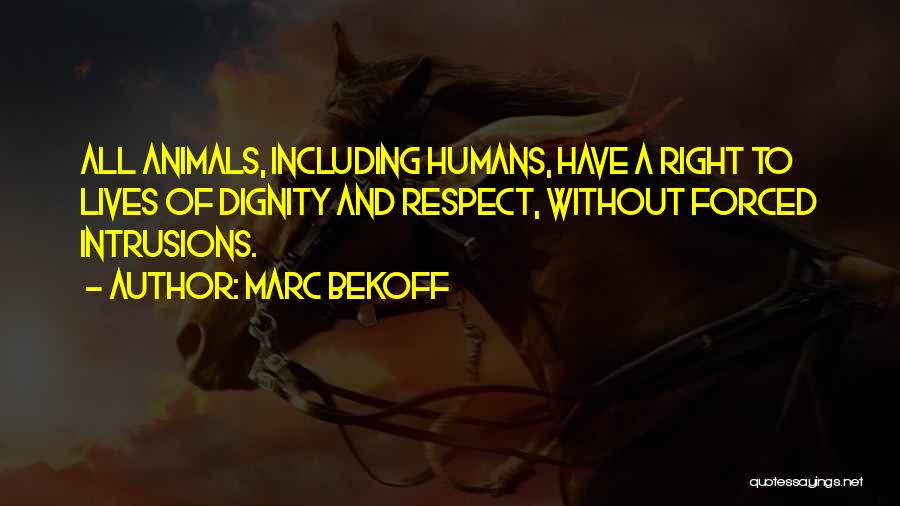 Marc Bekoff Quotes: All Animals, Including Humans, Have A Right To Lives Of Dignity And Respect, Without Forced Intrusions.