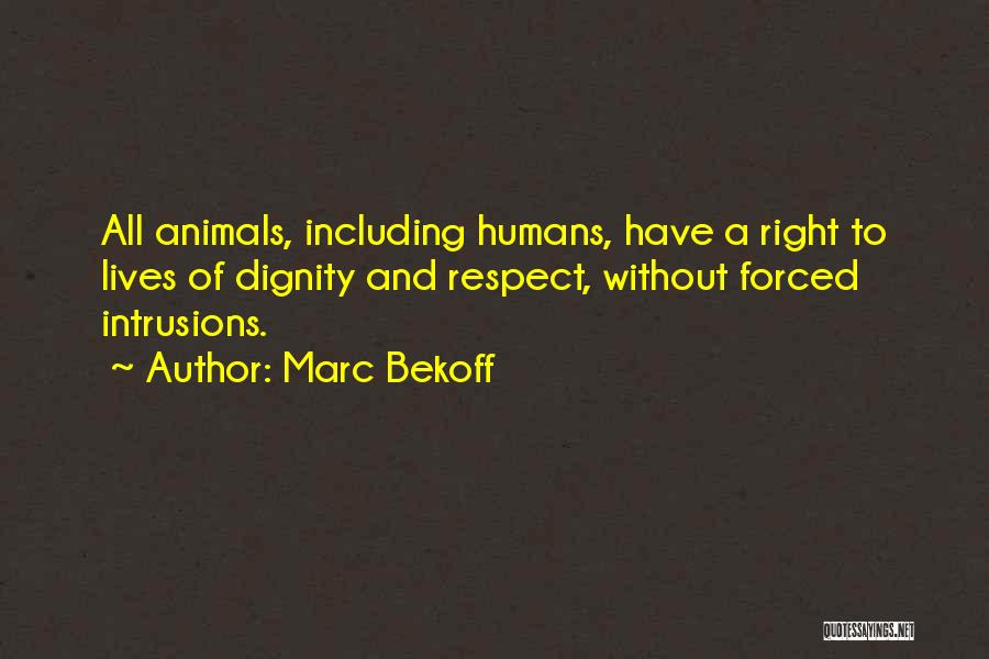 Marc Bekoff Quotes: All Animals, Including Humans, Have A Right To Lives Of Dignity And Respect, Without Forced Intrusions.