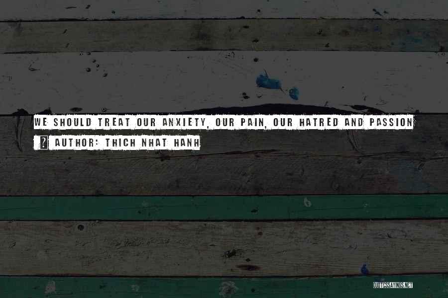 Thich Nhat Hanh Quotes: We Should Treat Our Anxiety, Our Pain, Our Hatred And Passion Gently, Respectfully, Not Resisting It, But Living With It,