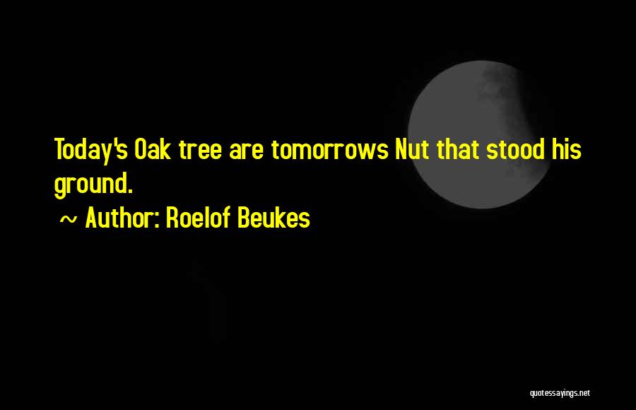 Roelof Beukes Quotes: Today's Oak Tree Are Tomorrows Nut That Stood His Ground.