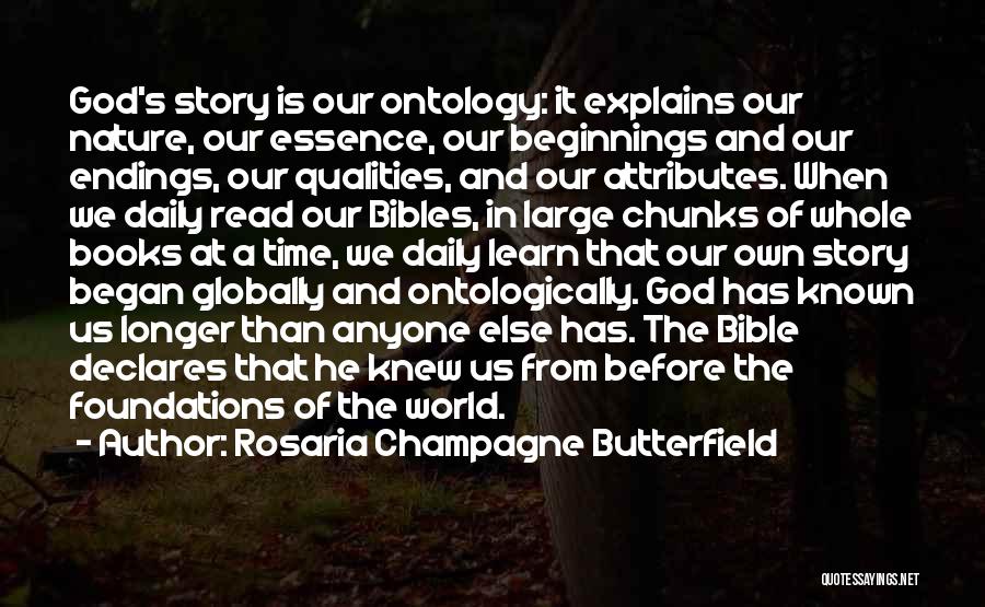 Rosaria Champagne Butterfield Quotes: God's Story Is Our Ontology: It Explains Our Nature, Our Essence, Our Beginnings And Our Endings, Our Qualities, And Our