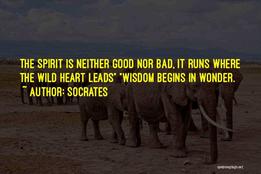 Socrates Quotes: The Spirit Is Neither Good Nor Bad, It Runs Where The Wild Heart Leads Wisdom Begins In Wonder.