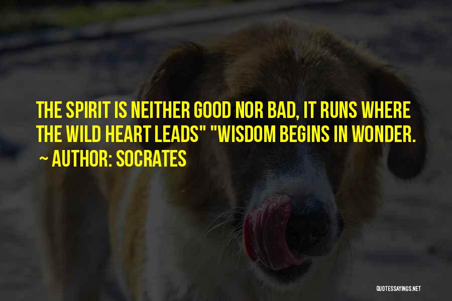 Socrates Quotes: The Spirit Is Neither Good Nor Bad, It Runs Where The Wild Heart Leads Wisdom Begins In Wonder.