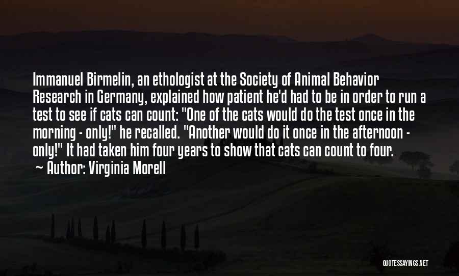 Virginia Morell Quotes: Immanuel Birmelin, An Ethologist At The Society Of Animal Behavior Research In Germany, Explained How Patient He'd Had To Be