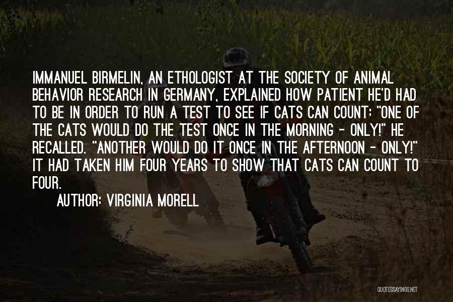 Virginia Morell Quotes: Immanuel Birmelin, An Ethologist At The Society Of Animal Behavior Research In Germany, Explained How Patient He'd Had To Be