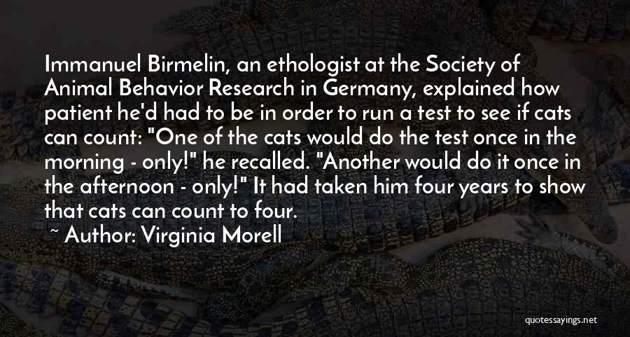 Virginia Morell Quotes: Immanuel Birmelin, An Ethologist At The Society Of Animal Behavior Research In Germany, Explained How Patient He'd Had To Be