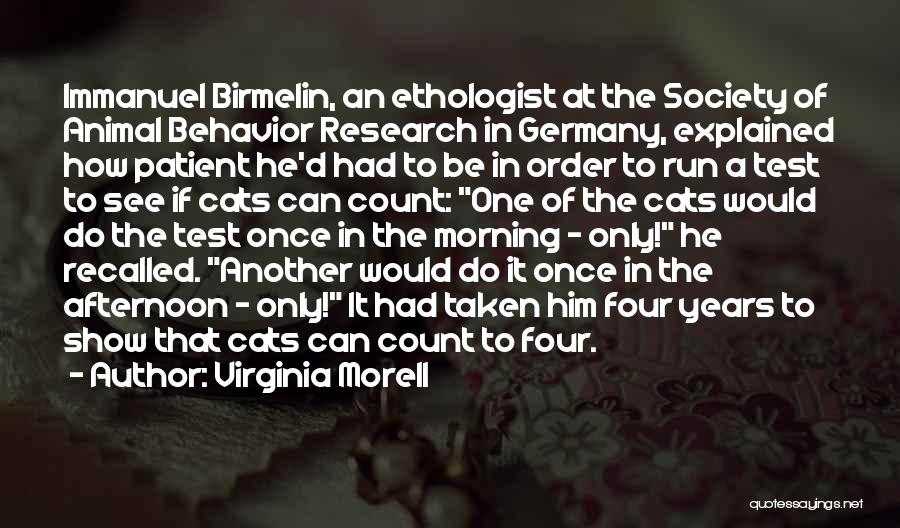 Virginia Morell Quotes: Immanuel Birmelin, An Ethologist At The Society Of Animal Behavior Research In Germany, Explained How Patient He'd Had To Be