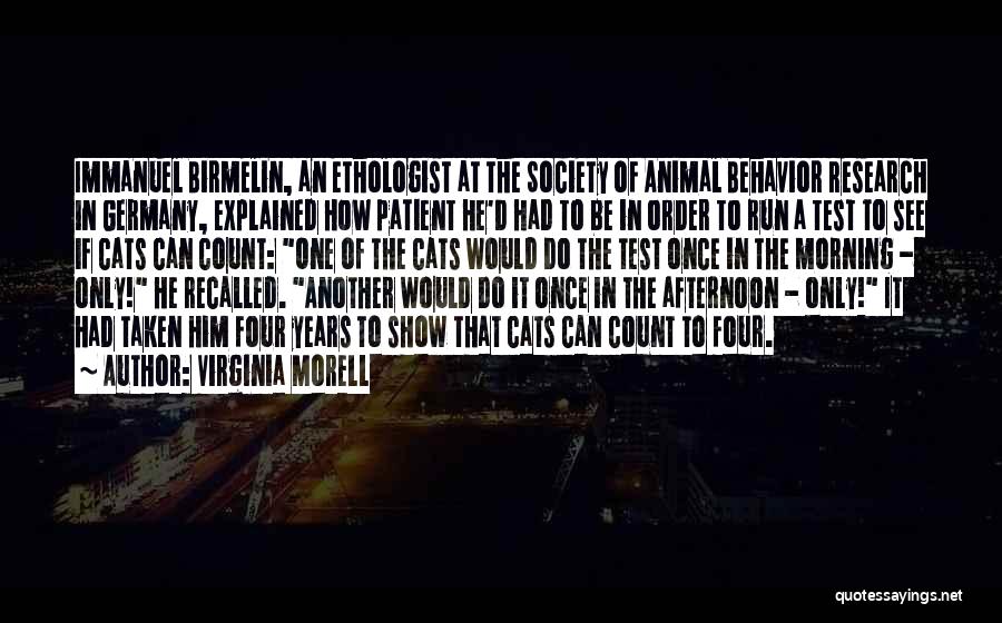 Virginia Morell Quotes: Immanuel Birmelin, An Ethologist At The Society Of Animal Behavior Research In Germany, Explained How Patient He'd Had To Be