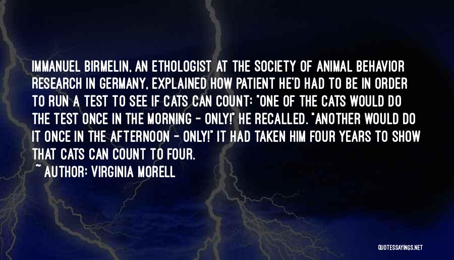 Virginia Morell Quotes: Immanuel Birmelin, An Ethologist At The Society Of Animal Behavior Research In Germany, Explained How Patient He'd Had To Be