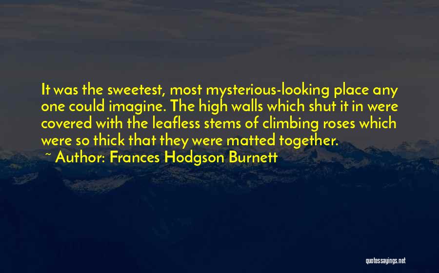 Frances Hodgson Burnett Quotes: It Was The Sweetest, Most Mysterious-looking Place Any One Could Imagine. The High Walls Which Shut It In Were Covered