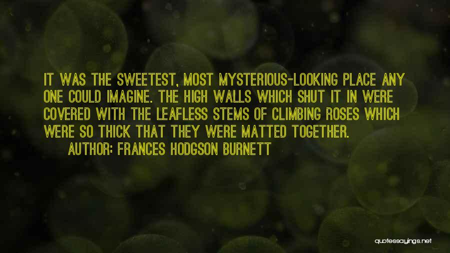 Frances Hodgson Burnett Quotes: It Was The Sweetest, Most Mysterious-looking Place Any One Could Imagine. The High Walls Which Shut It In Were Covered