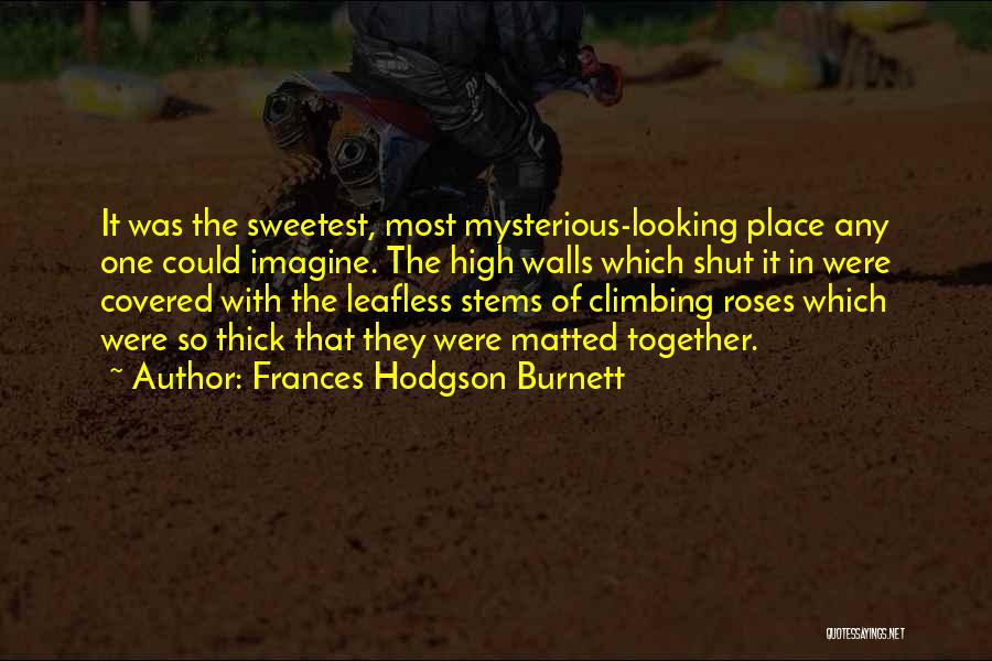 Frances Hodgson Burnett Quotes: It Was The Sweetest, Most Mysterious-looking Place Any One Could Imagine. The High Walls Which Shut It In Were Covered